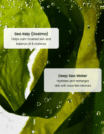 Refreshing Sea Kelp Serum 30ml - 6